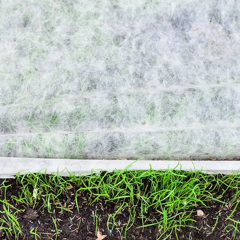 Tessuto non tessuto Dakota Outdoor in poliestere 200g/m2, rotolo 50metri Dakota - 2