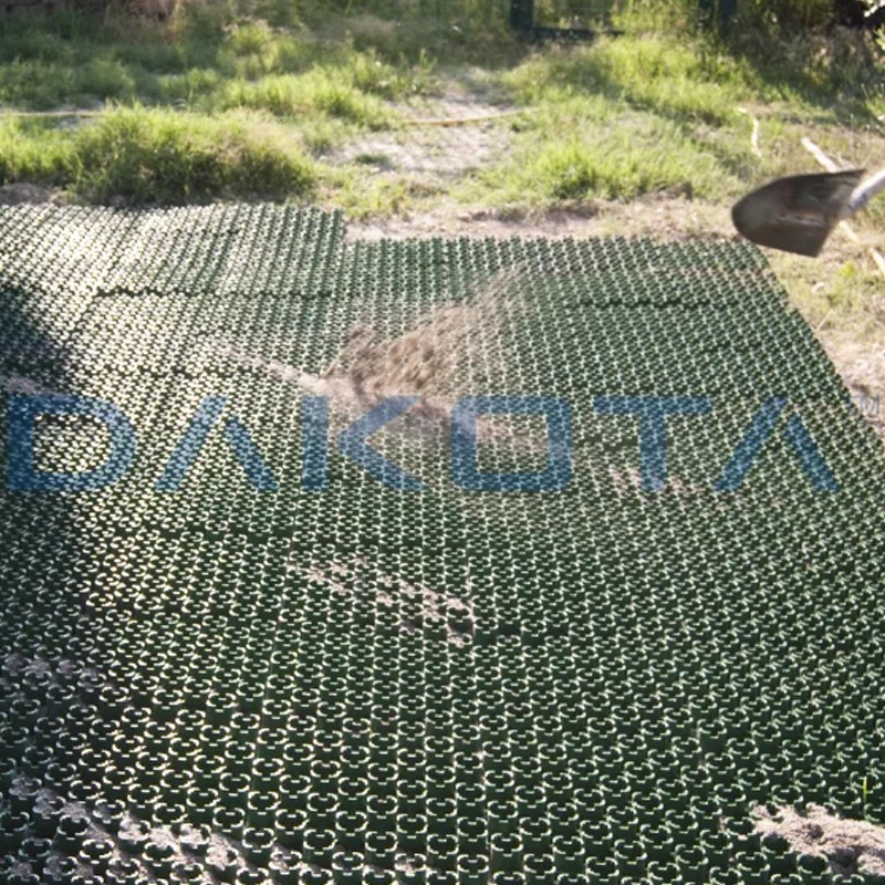 Salvaprato Dakota Green Plus per rinforzo aree erbose destinate a parcheggi, 800x400mm Dakota - 5