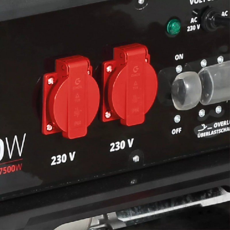 EINHELL GENERATORE DI CORRENTE TC-PG 8000