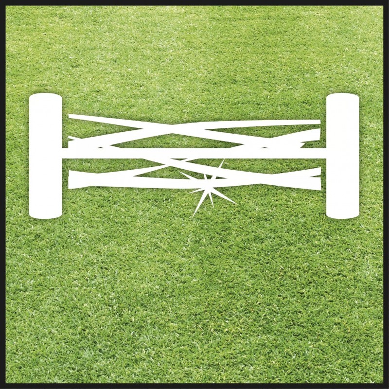 EINHELL TOSAERBA MANUALE A SPINTA GC-HM 300