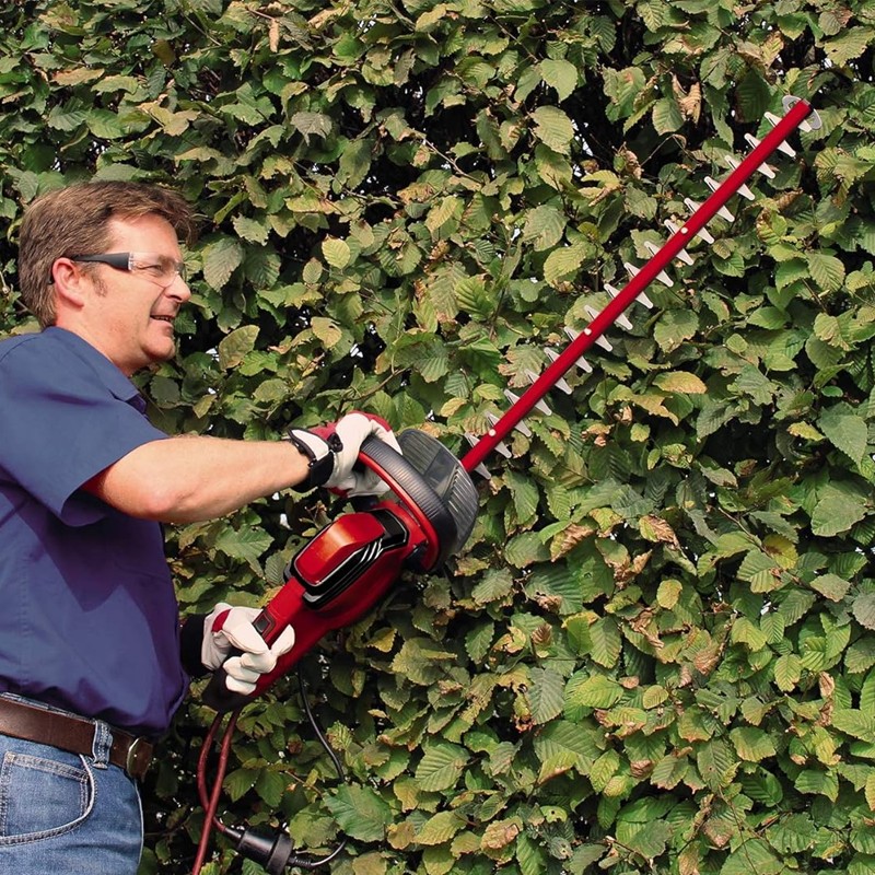 Tagliasiepi elettrico Einhell GE-EH 6560 650W lunghezza di taglio 600mm Einhell - 6